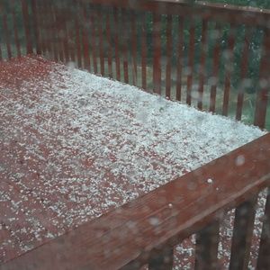 Meet your Posher, Edith